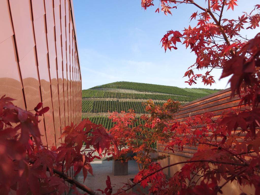 Gut Hermannsberg, Gaestehaus Niederhausen Exteriör bild