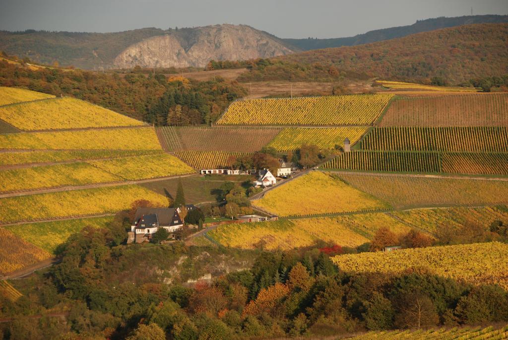 Gut Hermannsberg, Gaestehaus Niederhausen Exteriör bild